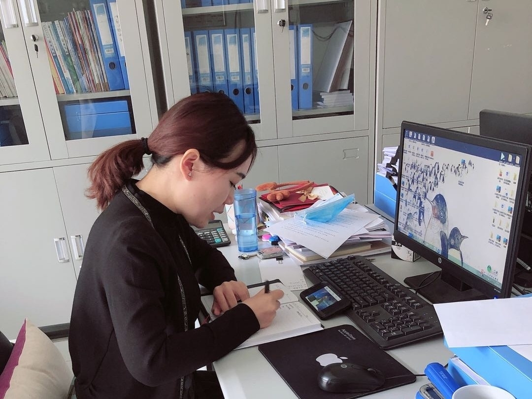 马金爽.jpg 马金爽.jpg